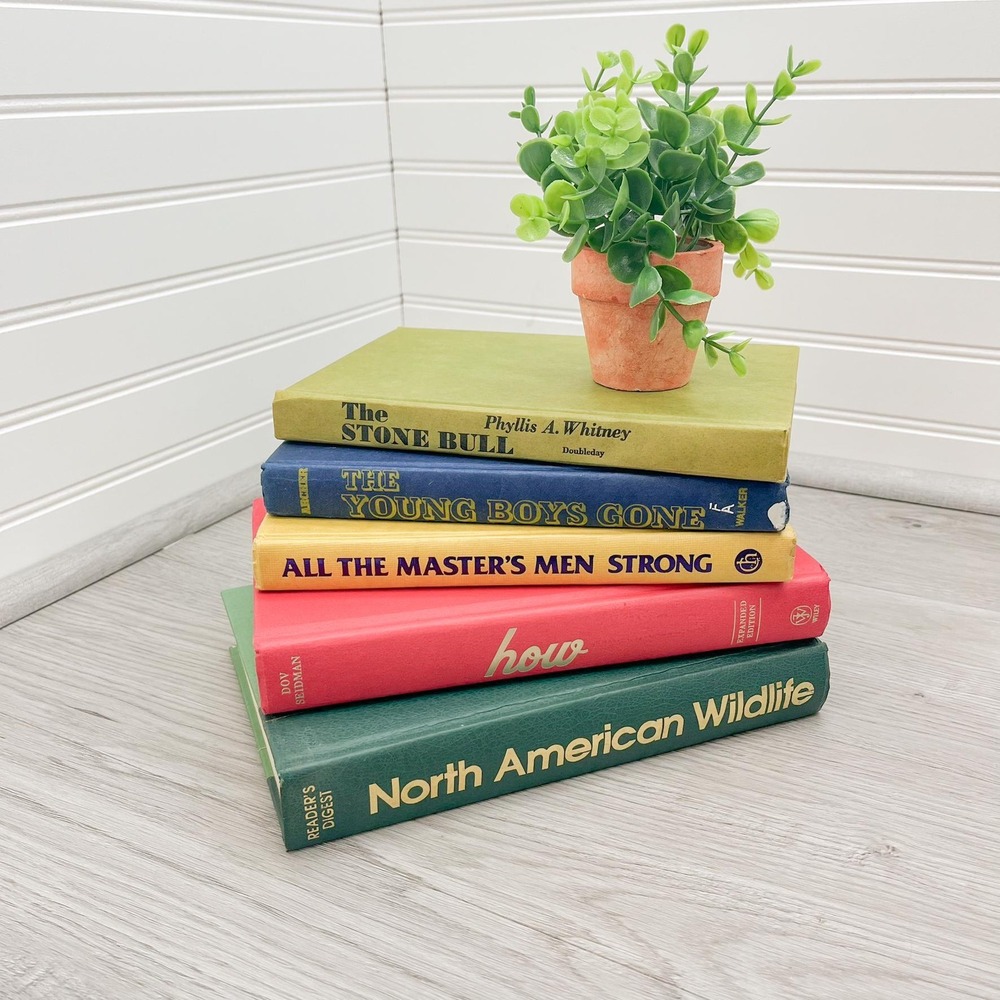 Vintage Rainbow Book Stack: Colorful Decorative Display Books